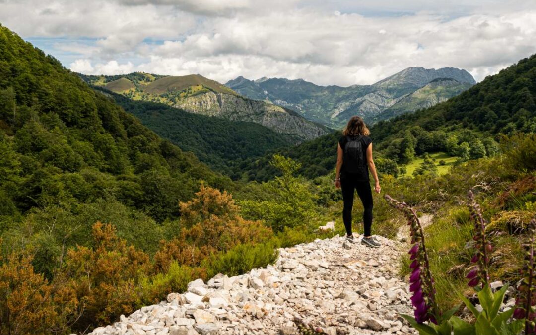 Cómo combinar karting y una escapada rural en un mismo plan